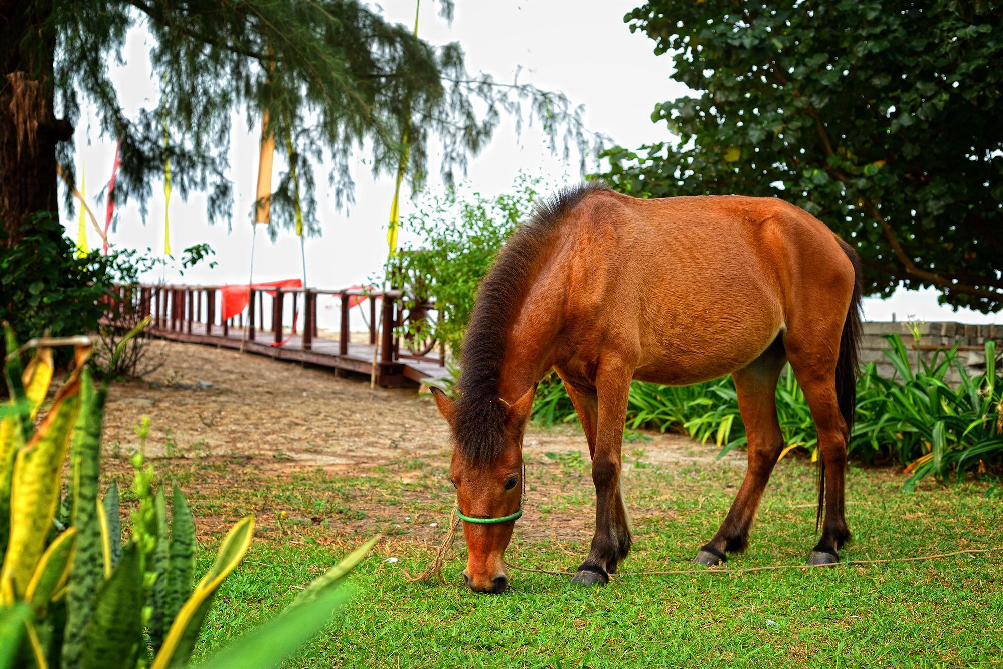 Nataya Round House Coral Bay Resort Kampot Dış mekan fotoğraf
