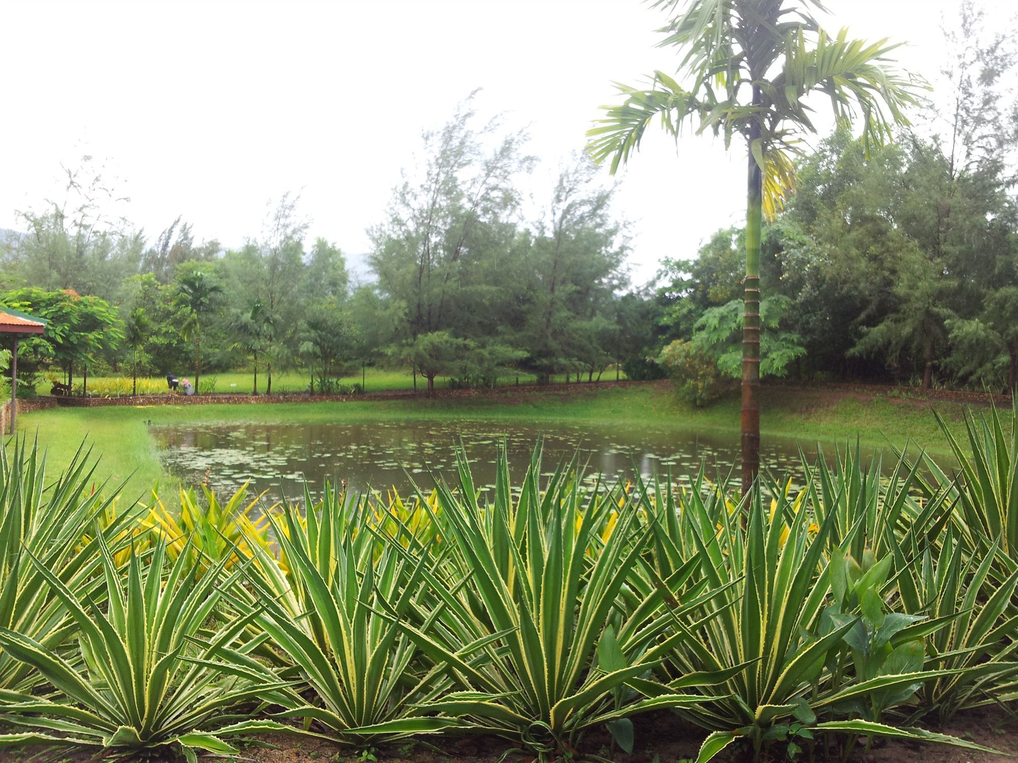 Nataya Round House Coral Bay Resort Kampot Dış mekan fotoğraf